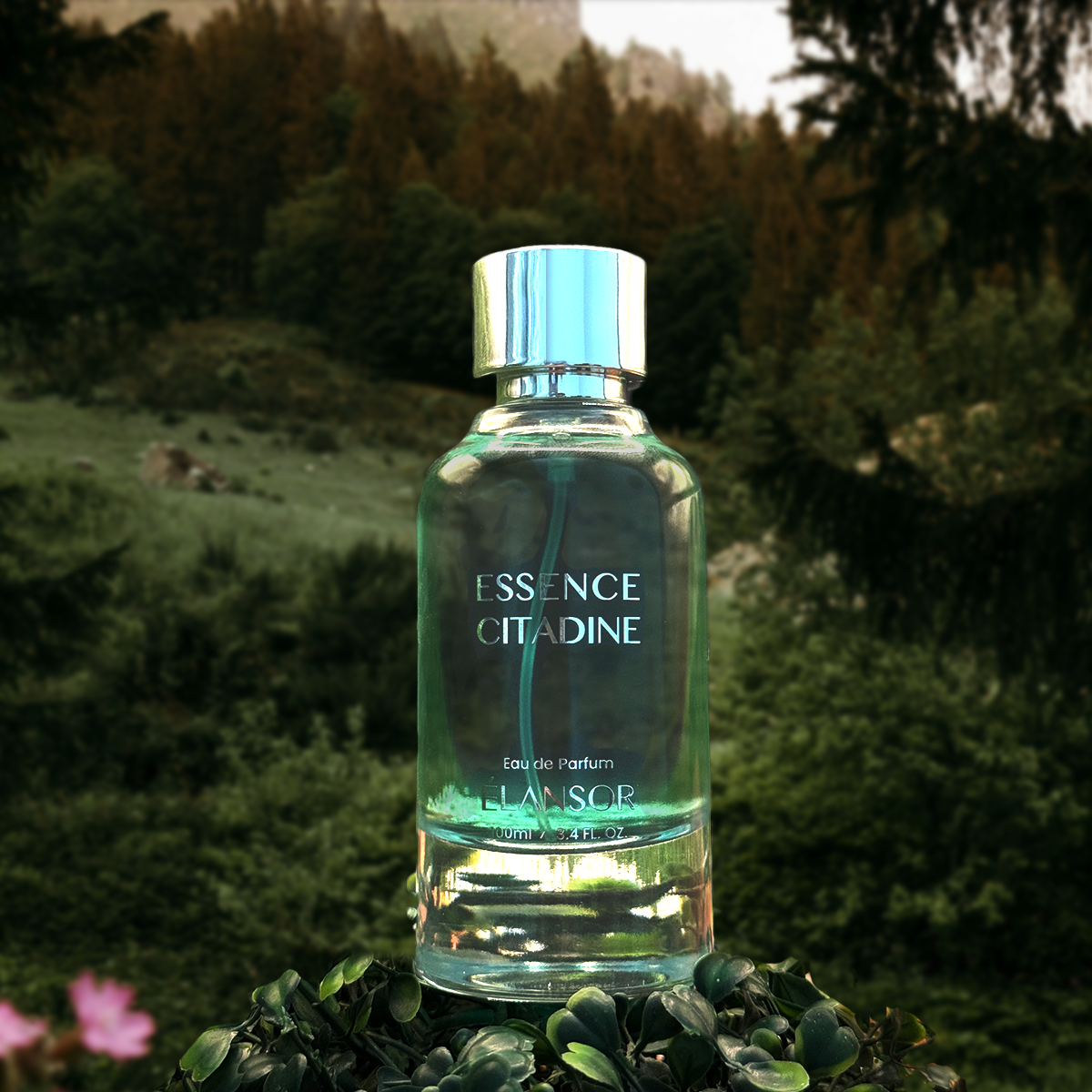 Essence Citadine by Élansor – Urban Ginger & Woody Fragrance for Men - Inspired by Valentino Uomo Born in Roma - 100ml Perfumes