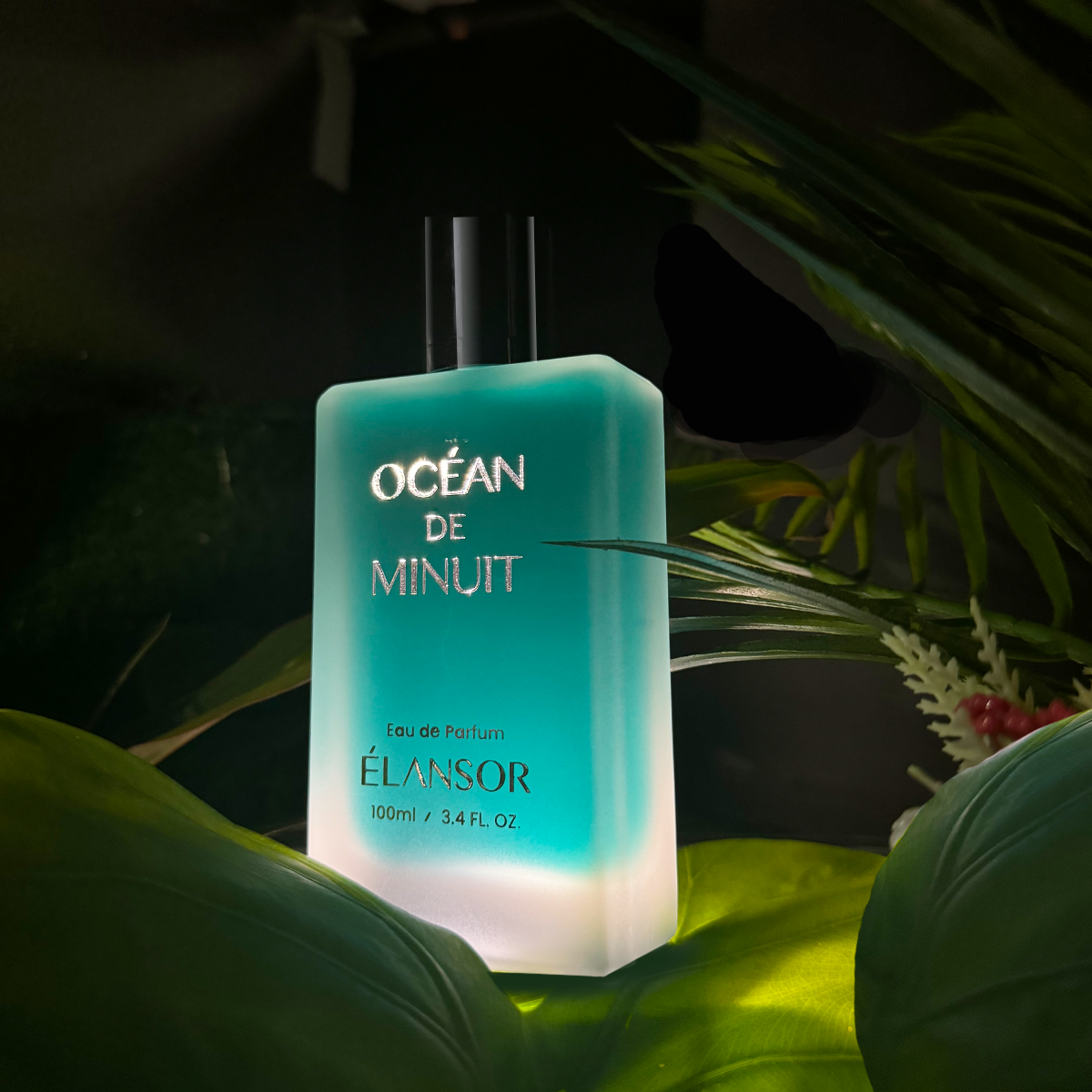 Océan de Minuit ispired by Bleu De Chanel - Citrusy mens Fragrance