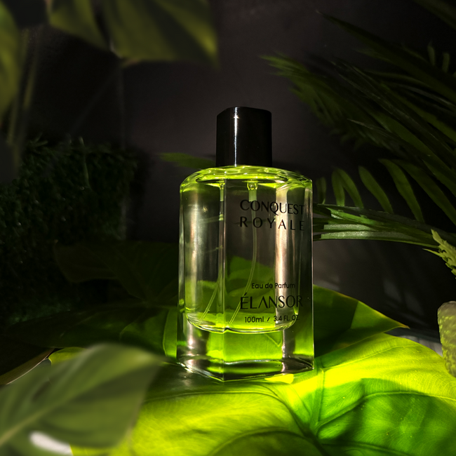 Conquest Royale – Inspired by Aventus Creed - Woody & Fruity Perfume for Men | 100ml Perfume Bottle | Shop Now!